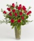 Red Roses Arranged Arrangement