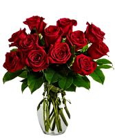Classic Dozen Red Roses Red Rose Arrangement