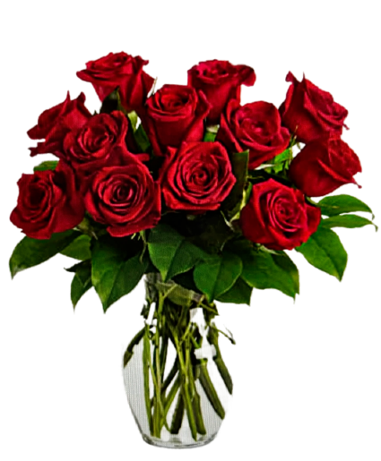 Classic Dozen Red Roses Red Rose Arrangement