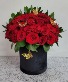 Red roses box  Roses