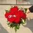 CLASSIC DOZEN RED ROSES Cut flowers - no vase