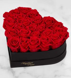 Red Roses Preserved black Heart box  