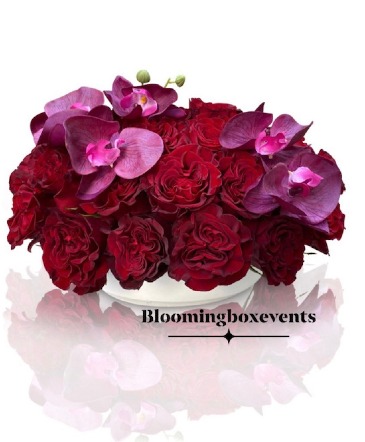 Red Roses Romance  Valentine Day in Passaic, NJ | Blooming Box Events