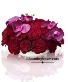 Red Roses Romance  Valentine Day