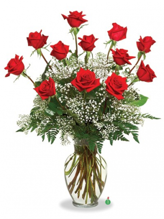 Red Roses Say "I Love You" 12, 18, 24 Roses With Foliage and Gypsophila,  in Gainesville, FL | PRANGE'S FLORIST