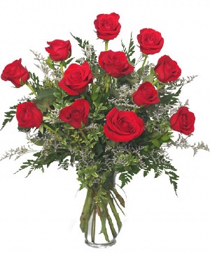 Red roses vase 