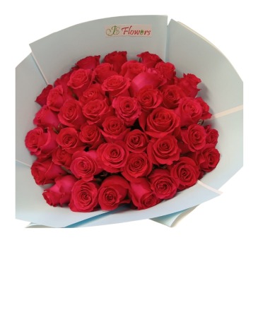 Freedom Red Roses Wrapped  in Tamarac, FL | JE Flowers
