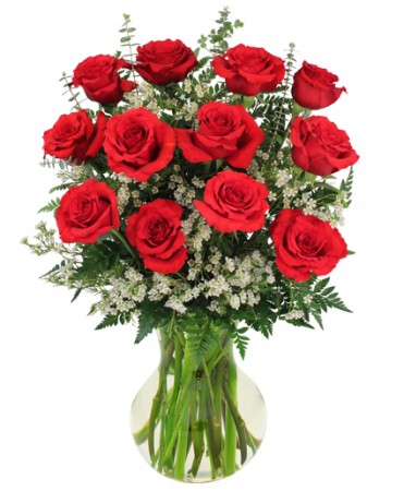 Red Roses and Wispy White Accent Flowers