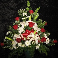 Category Image
