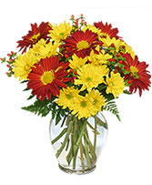 RED ROVER & YELLOW DAISY Bouquet of Flowers