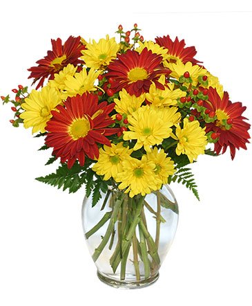 RED ROVER & YELLOW DAISY Bouquet of Flowers in Deer Park, TX | FLOWER COTTAGE OF DEER PARK