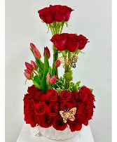 Red Rubi  Elegant round roses with bouquets 