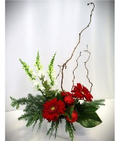 RED SAPPHIRE SPLENDOR FRESH FLOWER ARRANGEMENT