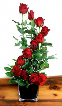 Red Staircase Roses 