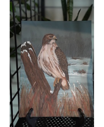Red Tail Hawk Arcylic on Canvas Board in South Milwaukee, WI | PARKWAY FLORAL INC.