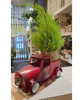 Red Truck planter Truck with cypress tree