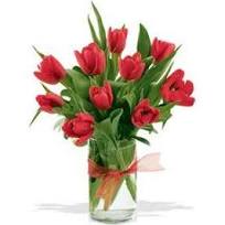 RED TULIPS OR NICEST COLOR