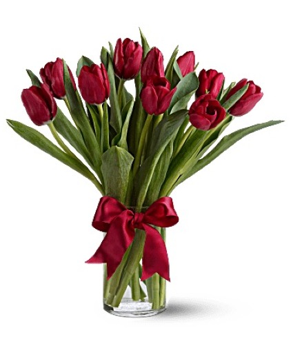 RED TULIPS