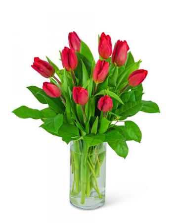 Red Tulips Flower Arrangement