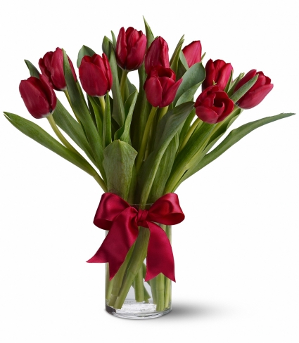 Romentic Red Tulips EN-19A