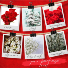Red Wedding DIY Package Wedding Florals
