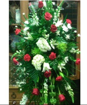 Red & White 