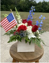 Red, White and You Patriotic