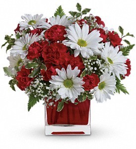Red & White Cube