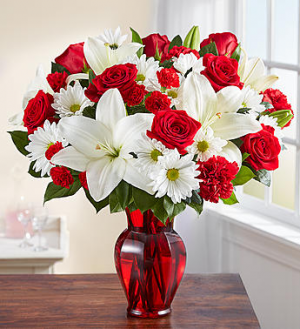 Red & White Delight™ in Valley City, OH | HILL HAVEN FLORIST & GREENHOUSE Red & White Delight™ in Valley City, OH | HILL HAVEN FLORIST & GREENHOUSE