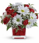 Red & White Delight Floral
