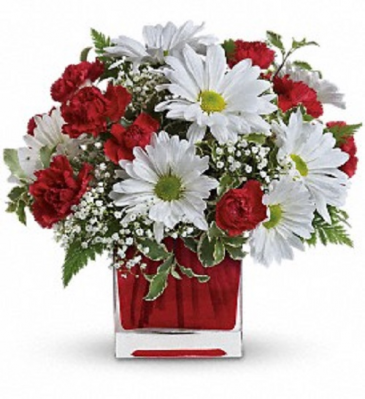 Red & White Delight  in Saint Marys, PA | GOETZ'S FLOWERS