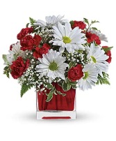 Red & White Delight All - Around