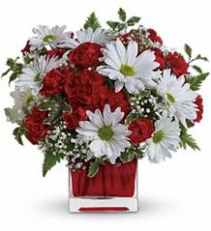 Red & White Delight Arrangement in cube