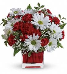 Cube - Red & White Delight Arrangement in cube in Cherokee, IA | Blooming House