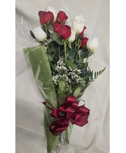 Red & White Dozen Wrapped Roses