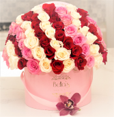 Red, White &....Pink  Fresh Roses In a box
