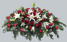 Category Image