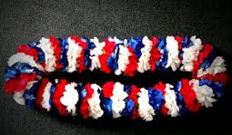 RED/WHITE/BLUE CARNATION LEI GRADUATION LEI