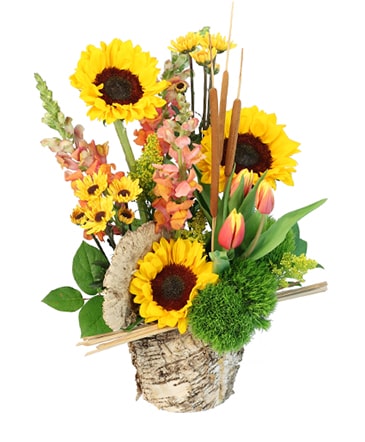 Reeds of Hope Flower Arrangement in Worthington, OH | UP-TOWNE FLOWERS & GIFT SHOPPE