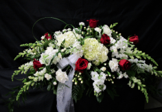 Category Image