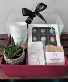 Purchase this funeral home arrangement