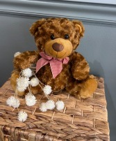 Reginald the Teddy Bear plush animal