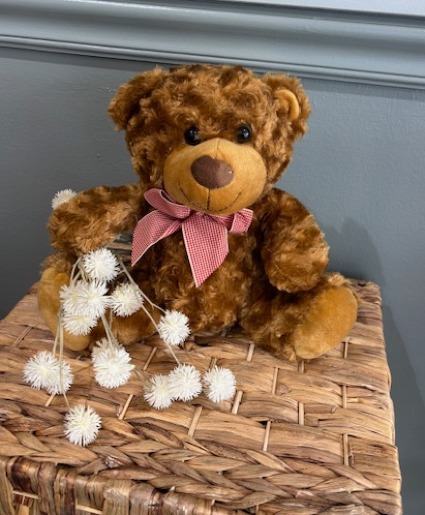 Reginald the Teddy Bear plush animal