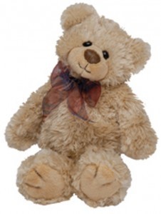 Regis Teddy Bear 10 Inches in Length