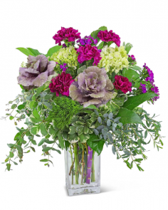 Category Image