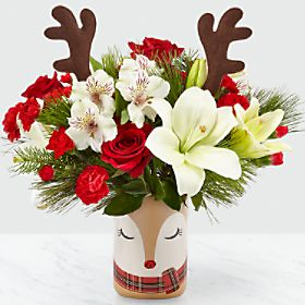 reindeer