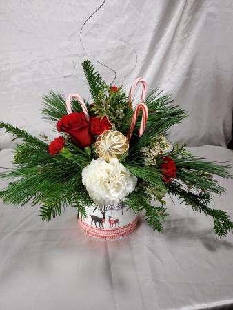 Reindeer Crossing (Limited quantity available) Container  in Killeen, TX | MARVEL'S FLOWERS