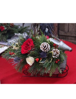 Reindeer Games CHRISTMAS