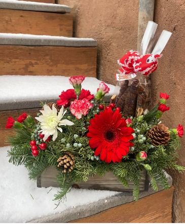 Reindeer Legs WEEKLY SPECIAL in New Castle, CO | An Exquisite Design 