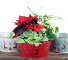  Reindeer Parade Planter Dishgarden